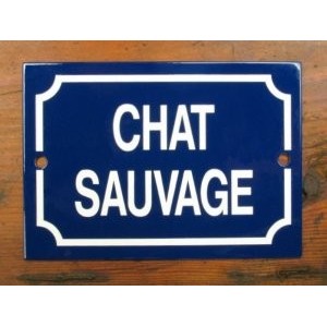 'Chat Savage' - Sign